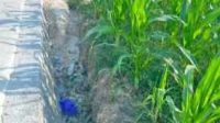 IMG_20260714_223152